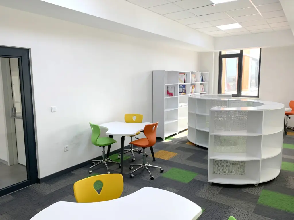 Büyük Başarı Koleji