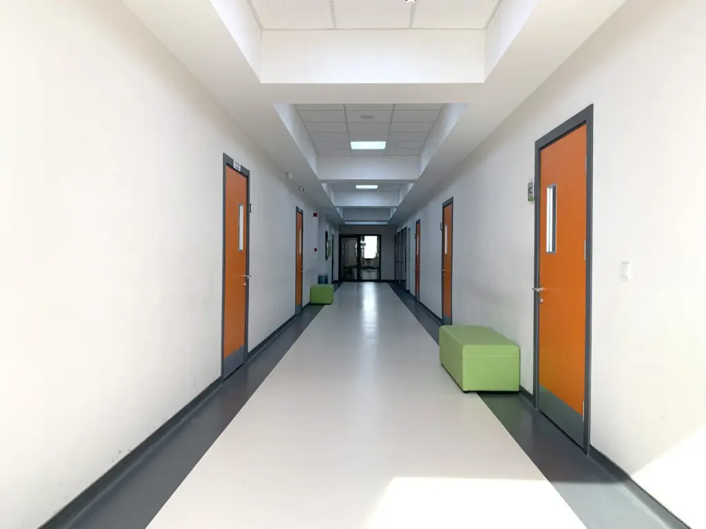 Büyük Başarı Koleji