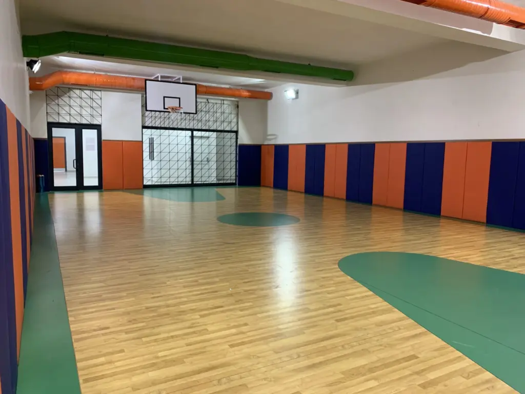 Büyük Başarı Koleji