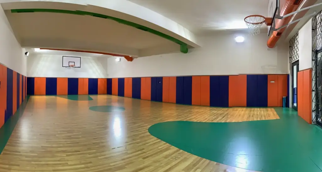 Büyük Başarı Koleji